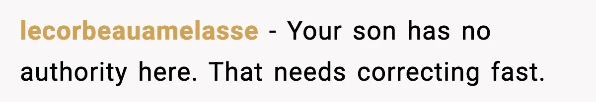 lecorbeauamelasse - Your son has no authority here. That needs correcting fast.