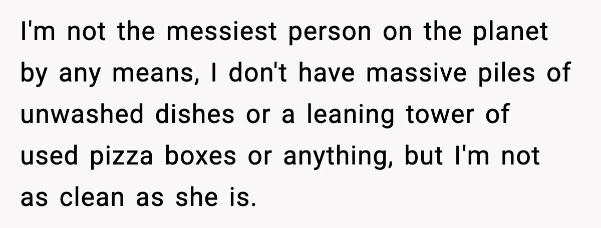 I'm not the messiest person on the planet by any means, I don't have massive piles of unwashed dishes or a leaning tower of used pizza boxes or anything, but...