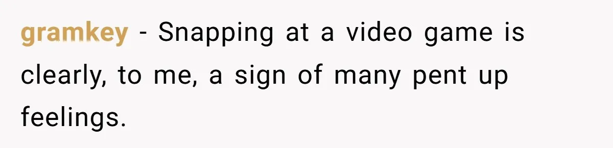 Identical Twins, Not-So-Identical Lives: When Animal Crossing Triggers a Family Explosion gramkey − Snapping at a video game is clearly, to me, a sign of many pent up feelings.