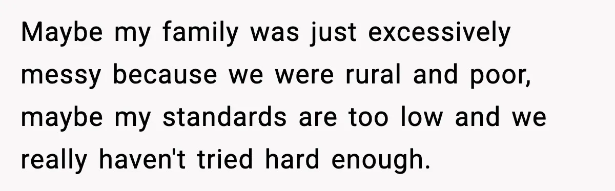 Maybe my family was just excessively messy because we were rural and poor, maybe my standards are too low and we really haven't tried hard enough.