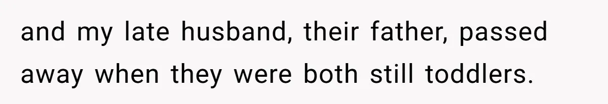 Identical Twins, Not-So-Identical Lives: When Animal Crossing Triggers a Family Explosion and my late husband, their father, passed away when they were both still toddlers.