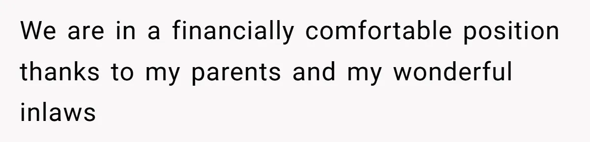 Identical Twins, Not-So-Identical Lives: When Animal Crossing Triggers a Family Explosion We are in a financially comfortable position thanks to my parents and my wonderful inlaws