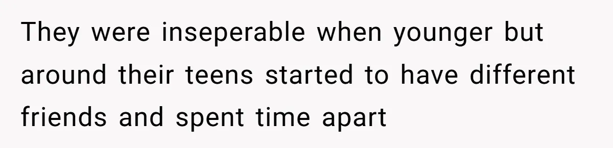 Identical Twins, Not-So-Identical Lives: When Animal Crossing Triggers a Family Explosion They were inseperable when younger but around their teens started to have different friends and spent time apart
