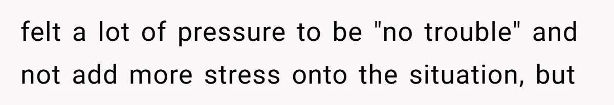 Identical Twins, Not-So-Identical Lives: When Animal Crossing Triggers a Family Explosion felt a lot of pressure to be "no trouble" and not add more stress onto the situation, but