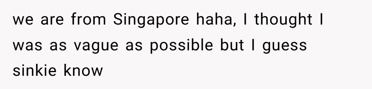 Identical Twins, Not-So-Identical Lives: When Animal Crossing Triggers a Family Explosion we are from Singapore haha, I thought I was as vague as possible but I guess sinkie know