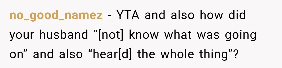 no_good_namez − YTA and also how did your husband “[not] know what was going on” and also “hear[d] the whole thing”?