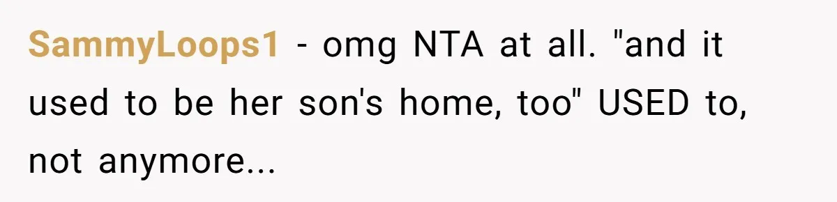 SammyLoops1 − omg NTA at all. "and it used to be her son's home, too" USED to, not anymore...