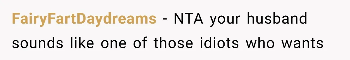 FairyFartDaydreams − NTA your husband sounds like one of those idiots who wants