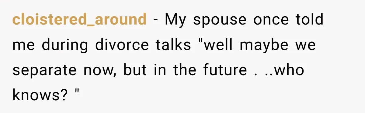 cloistered_around − My spouse once told me during divorce talks "well maybe we separate now, but in the future . ..who knows? "