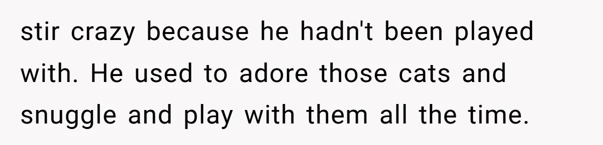 stir crazy because he hadn't been played with. He used to adore those cats and snuggle and play with them all the time.