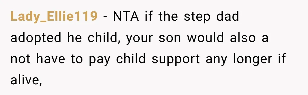 Lady_Ellie119 - NTA if the step dad adopted he child, your son would also a not have to pay child support any longer if alive,