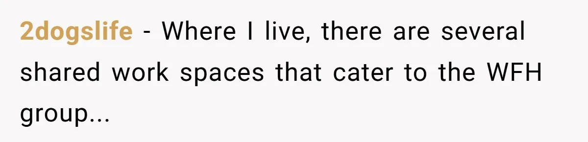 Husband Rents an Entire Airbnb Just to Escape the Interruptions of His Visiting In-Laws 2dogslife − Where I live, there are several shared work spaces that cater to the WFH group...