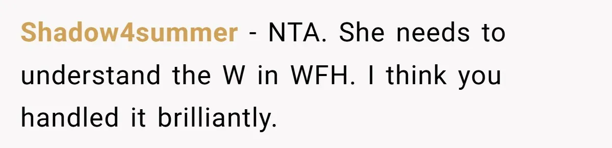 Husband Rents an Entire Airbnb Just to Escape the Interruptions of His Visiting In-Laws Shadow4summer − NTA. She needs to understand the W in WFH. I think you handled it brilliantly.