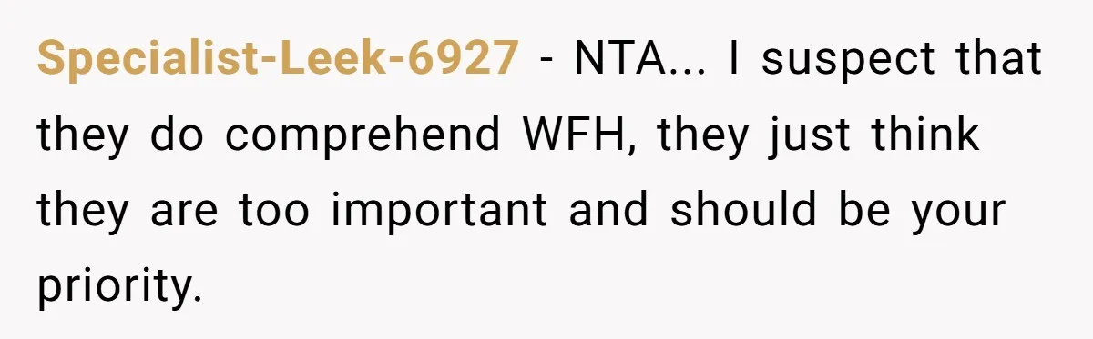 Husband Rents an Entire Airbnb Just to Escape the Interruptions of His Visiting In-Laws Specialist-Leek-6927 − NTA... I suspect that they do comprehend WFH, they just think they are too important and should be your priority.