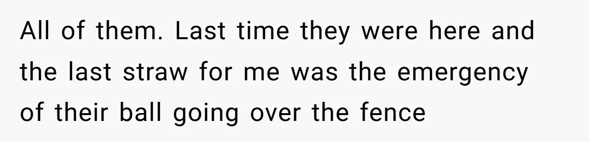 Husband Rents an Entire Airbnb Just to Escape the Interruptions of His Visiting In-Laws All of them. Last time they were here and the last straw for me was the emergency of their ball going over the fence