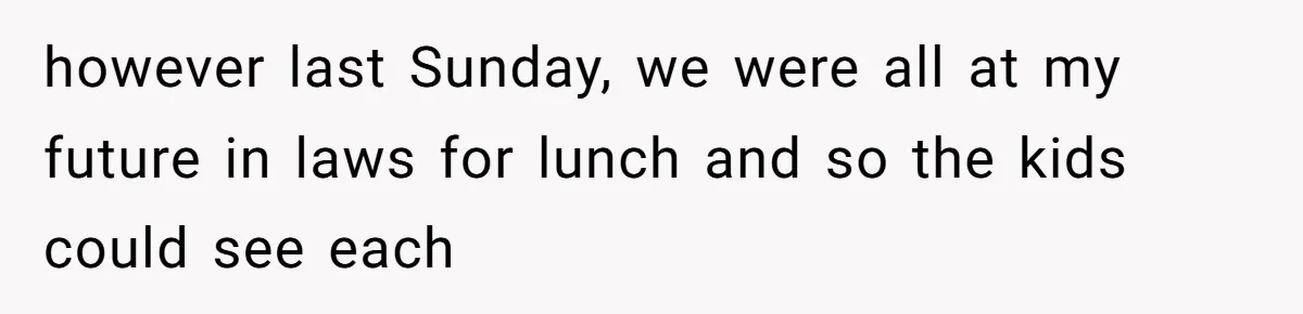 however last Sunday, we were all at my future in laws for lunch and so the kids could see each