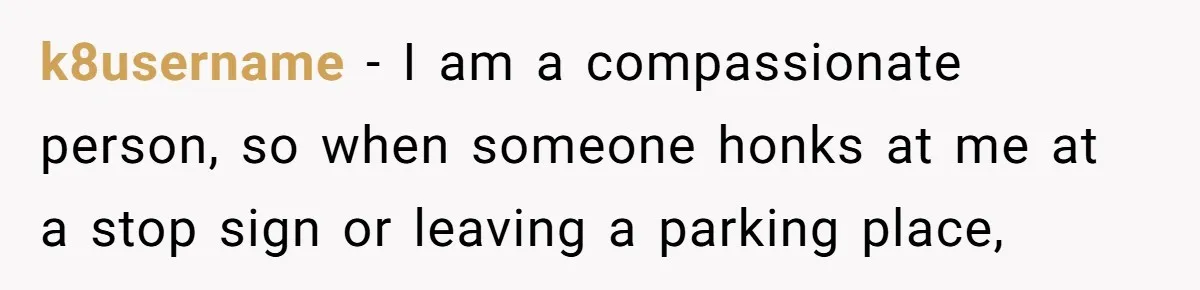 Impatient Driver Keeps Honking At Family Loading Kids, So Dad Teaches Her A Clever Parking Lesson k8username − I am a compassionate person, so when someone honks at me at a stop sign or leaving a parking place,