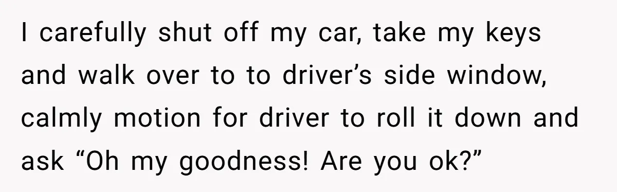 Impatient Driver Keeps Honking At Family Loading Kids, So Dad Teaches Her A Clever Parking Lesson I carefully shut off my car, take my keys and walk over to to driver’s side window, calmly motion for driver to roll it down and ask “Oh my goodness!...
