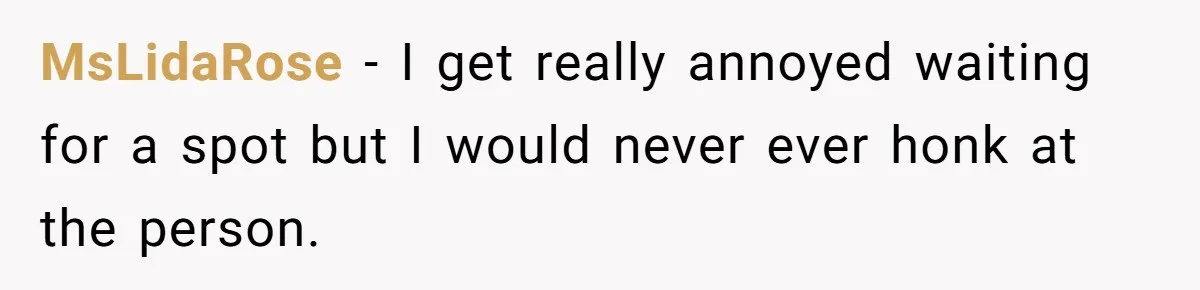 Impatient Driver Keeps Honking At Family Loading Kids, So Dad Teaches Her A Clever Parking Lesson MsLidaRose − I get really annoyed waiting for a spot but I would never ever honk at the person.