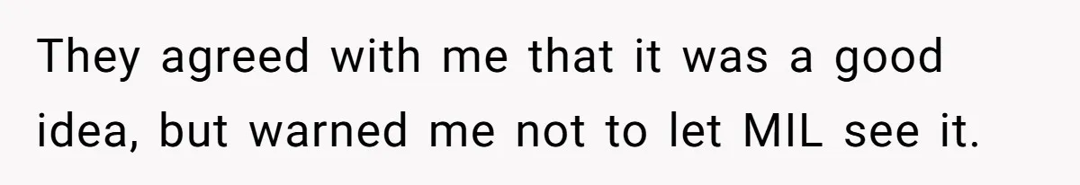 They agreed with me that it was a good idea, but warned me not to let MIL see it.