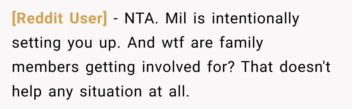 [Reddit User] − NTA. Mil is intentionally setting you up. And wtf are family members getting involved for? That doesn't help any situation at all.