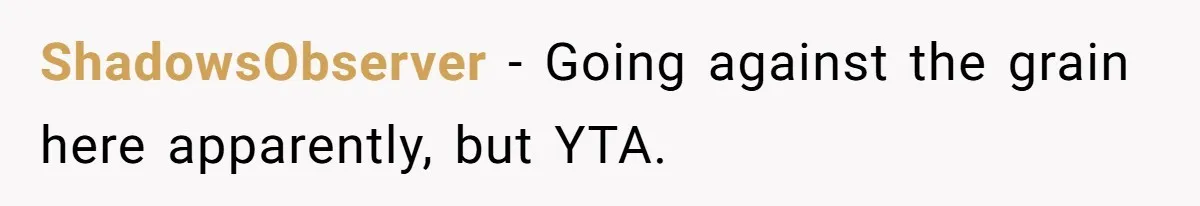 ShadowsObserver − Going against the grain here apparently, but YTA.