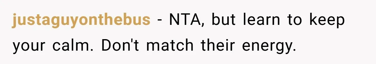 justaguyonthebus − NTA, but learn to keep your calm. Don't match their energy.