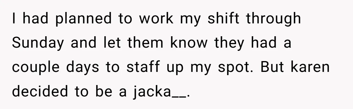 I had planned to work my shift through Sunday and let them know they had a couple days to staff up my spot. But karen decided to be a jacka__.