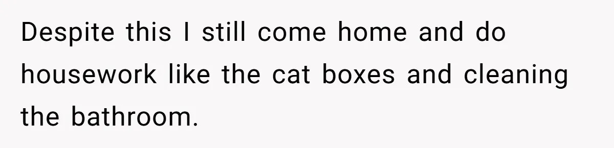 Despite this I still come home and do housework like the cat boxes and cleaning the bathroom.