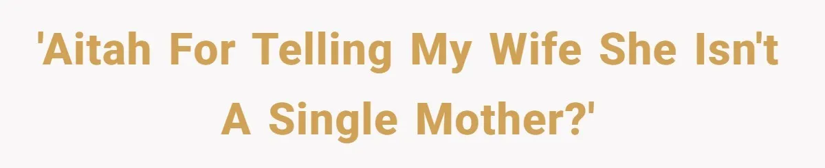 'AITAH For telling my wife she isn't a single mother?'