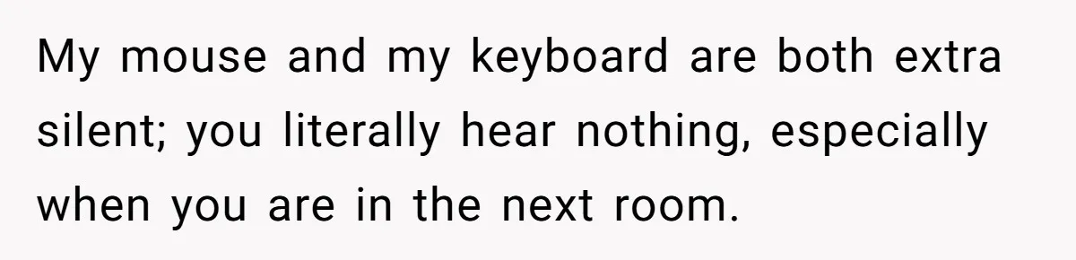 My mouse and my keyboard are both extra silent; you literally hear nothing, especially when you are in the next room.