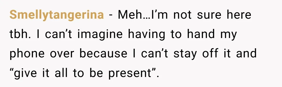 Smellytangerina − Meh…I’m not sure here tbh. I can’t imagine having to hand my phone over because I can’t stay off it and “give it all to be present”.