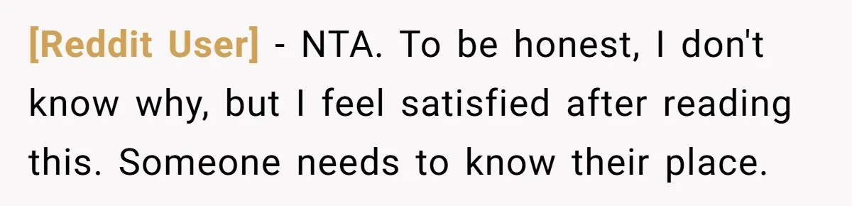 [Reddit User] − NTA. To be honest, I don't know why, but I feel satisfied after reading this. Someone needs to know their place.