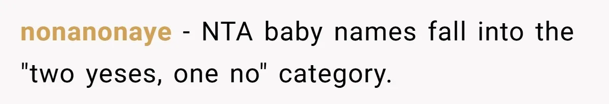 Pregnant Woman Refuses To Let Boyfriend Name Their Daughter “Renesmae” After Twilight Character nonanonaye − NTA baby names fall into the "two yeses, one no" category.