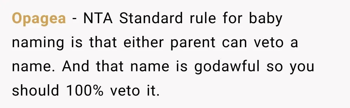 Pregnant Woman Refuses To Let Boyfriend Name Their Daughter “Renesmae” After Twilight Character Opagea − NTA Standard rule for baby naming is that either parent can veto a name. And that name is godawful so you should 100% veto it.