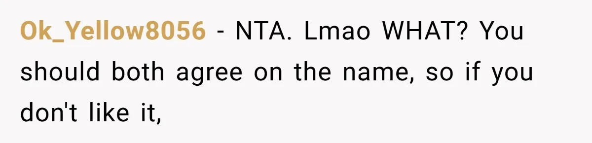 Pregnant Woman Refuses To Let Boyfriend Name Their Daughter “Renesmae” After Twilight Character Ok_Yellow8056 − NTA. Lmao WHAT? You should both agree on the name, so if you don't like it,