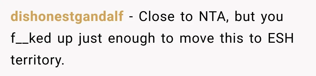 dishonestgandalf − Close to NTA, but you f__ked up just enough to move this to ESH territory.
