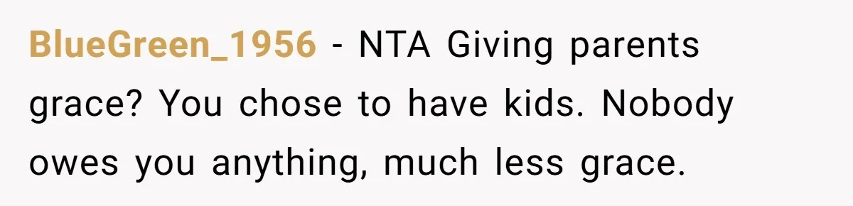 BlueGreen_1956 − NTA Giving parents grace? You chose to have kids. Nobody owes you anything, much less grace.