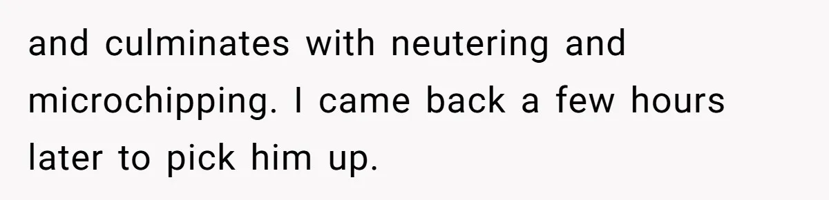 Dog Owner Upset After Vet Removes Puppy’s Teeth During Neutering Without Consent and culminates with neutering and microchipping. I came back a few hours later to pick him up.
