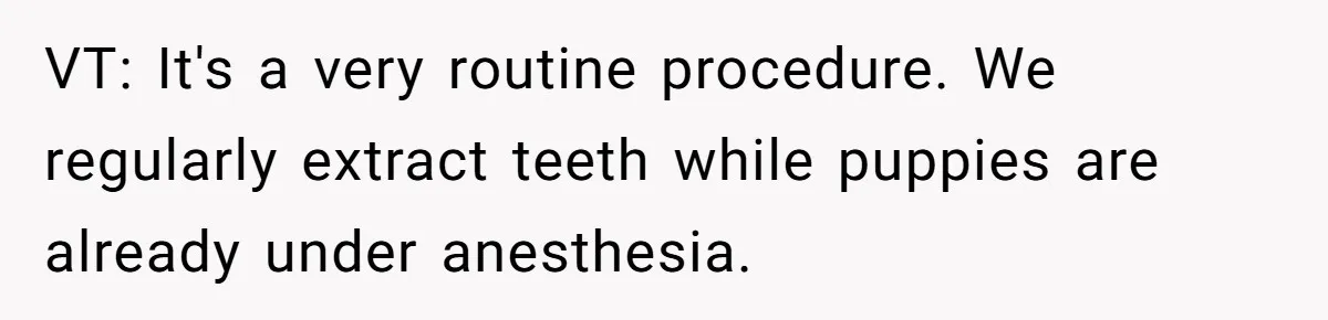 Dog Owner Upset After Vet Removes Puppy’s Teeth During Neutering Without Consent VT: It's a very routine procedure. We regularly extract teeth while puppies are already under anesthesia.