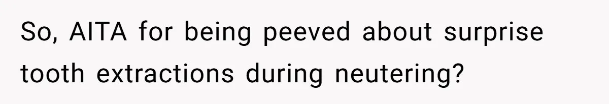 Dog Owner Upset After Vet Removes Puppy’s Teeth During Neutering Without Consent So, AITA for being peeved about surprise tooth extractions during neutering?