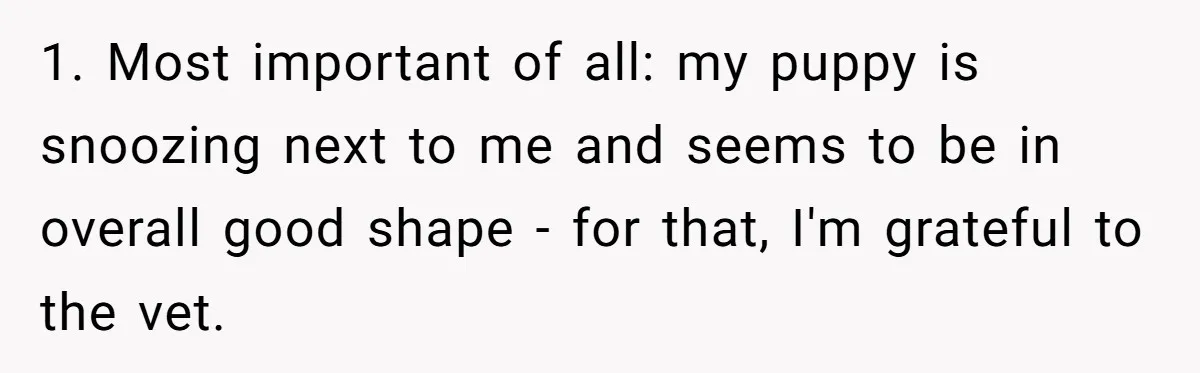 Dog Owner Upset After Vet Removes Puppy’s Teeth During Neutering Without Consent 1. Most important of all: my puppy is snoozing next to me and seems to be in overall good shape - for that, I'm grateful to the vet.