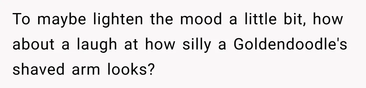 Dog Owner Upset After Vet Removes Puppy’s Teeth During Neutering Without Consent To maybe lighten the mood a little bit, how about a laugh at how silly a Goldendoodle's shaved arm looks?