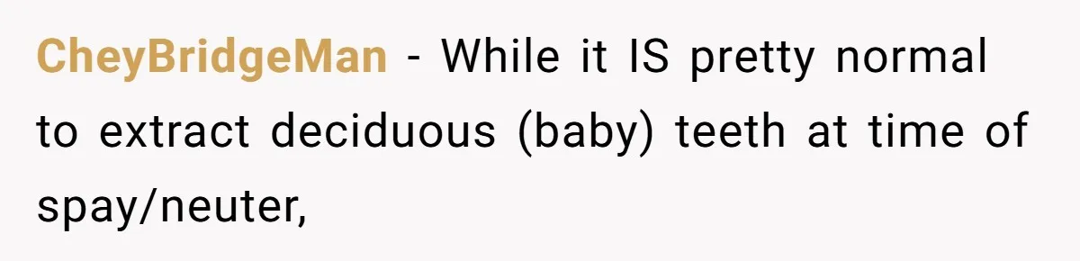 Dog Owner Upset After Vet Removes Puppy’s Teeth During Neutering Without Consent CheyBridgeMan − While it IS pretty normal to extract deciduous (baby) teeth at time of spay/neuter,