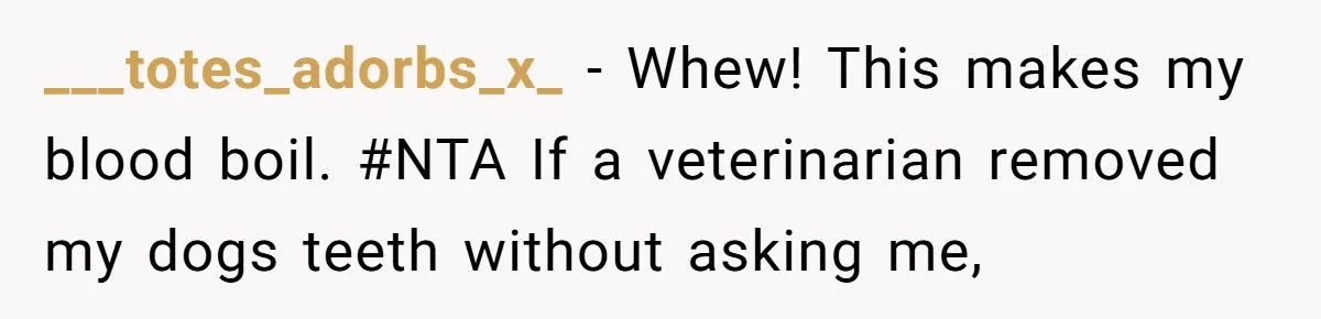 Dog Owner Upset After Vet Removes Puppy’s Teeth During Neutering Without Consent ___totes_adorbs_x_ − Whew! This makes my blood boil. #NTA If a veterinarian removed my dogs teeth without asking me,
