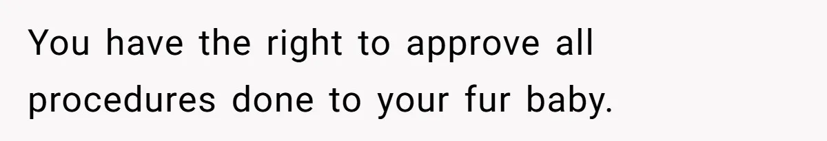 Dog Owner Upset After Vet Removes Puppy’s Teeth During Neutering Without Consent You have the right to approve all procedures done to your fur baby.