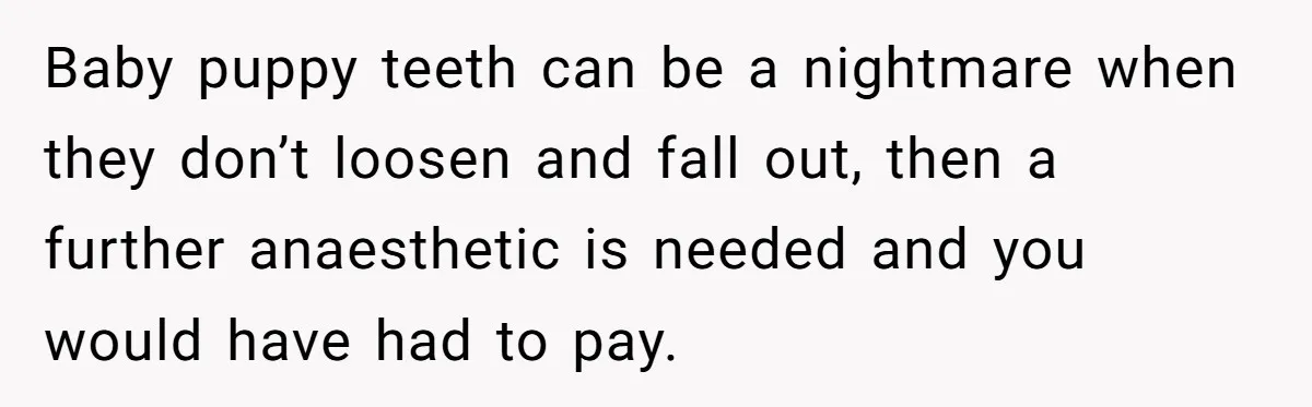 Dog Owner Upset After Vet Removes Puppy’s Teeth During Neutering Without Consent Baby puppy teeth can be a nightmare when they don’t loosen and fall out, then a further anaesthetic is needed and you would have had to pay.