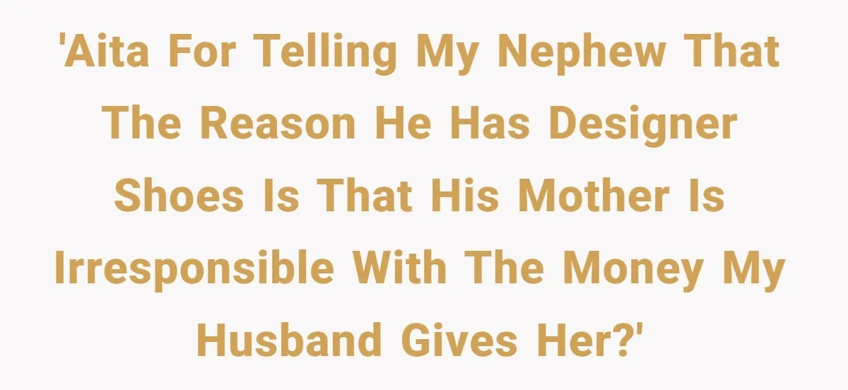 'AITA for telling my nephew that the reason he has designer shoes is that his mother is irresponsible with the money my husband gives her?'