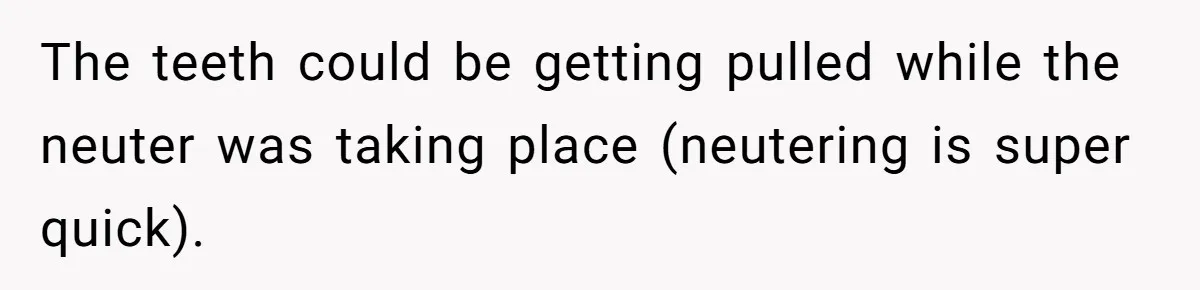 Dog Owner Upset After Vet Removes Puppy’s Teeth During Neutering Without Consent The teeth could be getting pulled while the neuter was taking place (neutering is super quick).