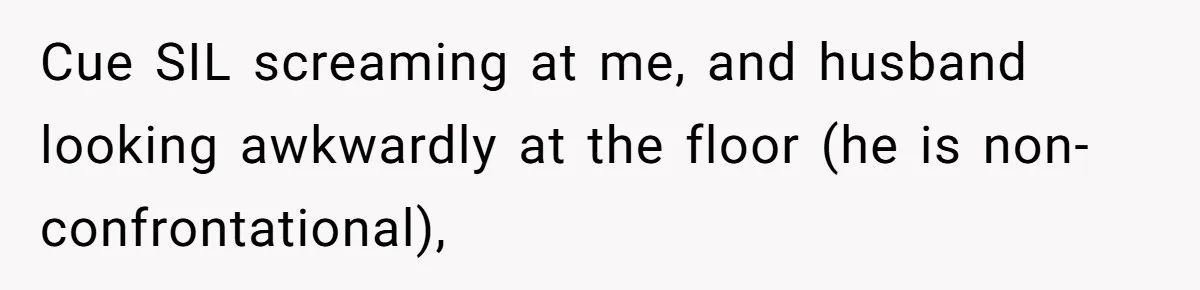 Cue SIL screaming at me, and husband looking awkwardly at the floor (he is non-confrontational),